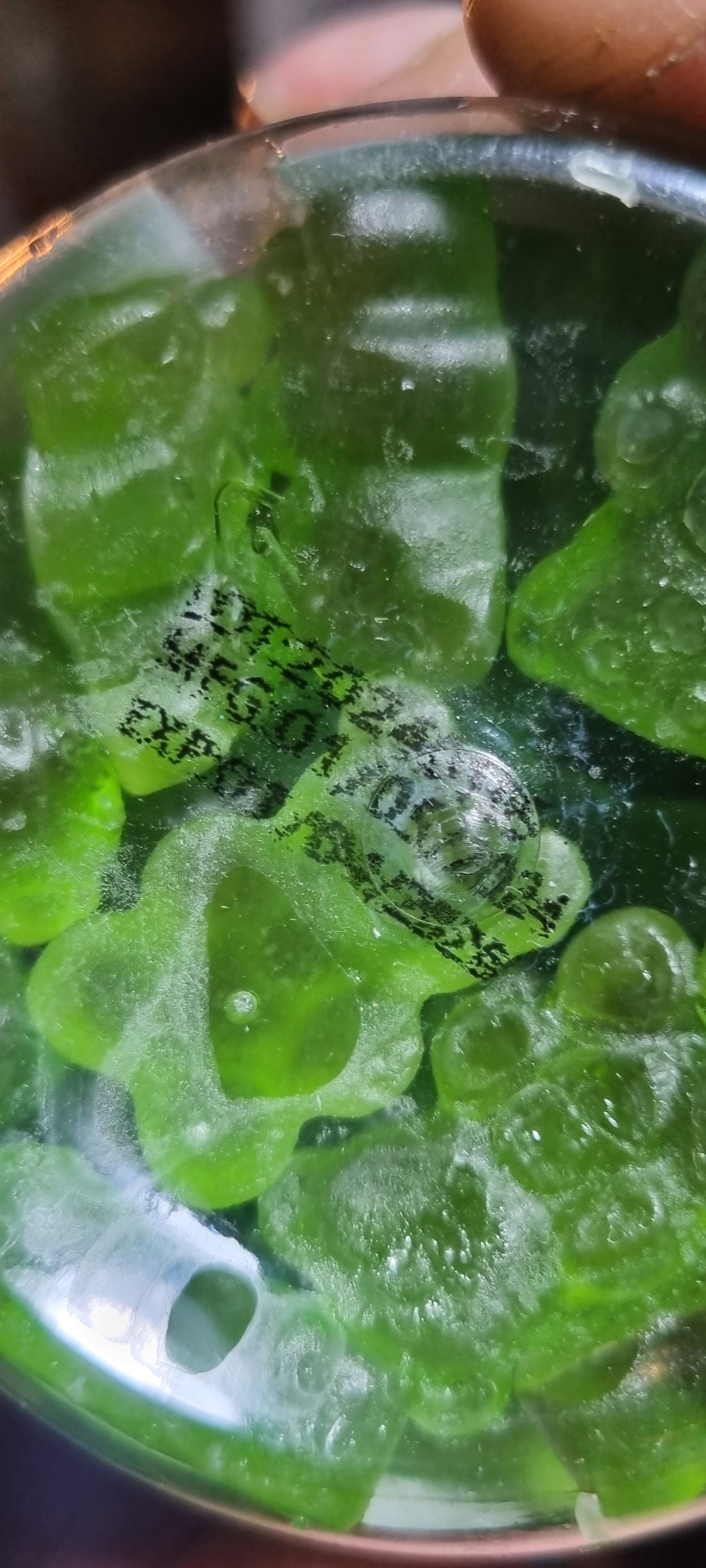 Moringa Gummies